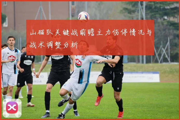 山猫队关键战前瞻主力伤停情况与战术调整分析