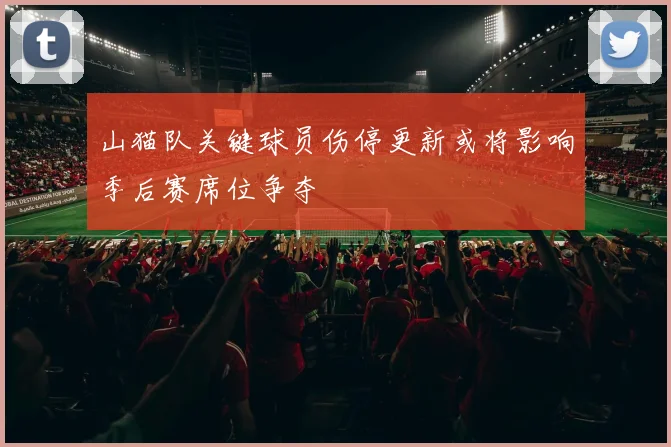 山猫队关键球员伤停更新或将影响季后赛席位争夺