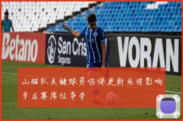 山猫队关键球员伤停更新或将影响季后赛席位争夺