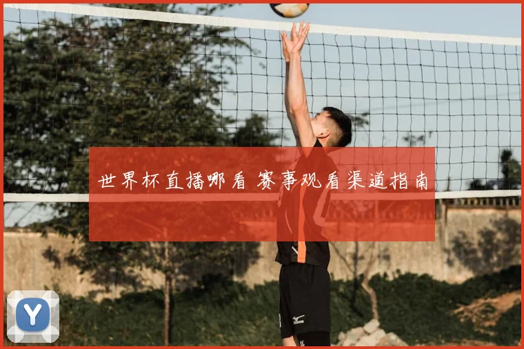世界杯直播哪看 赛事观看渠道指南